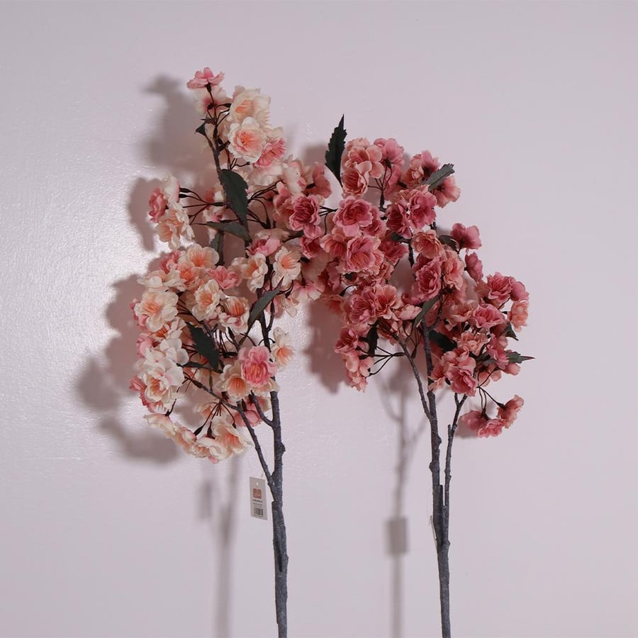 Cherry branch with pink blossom