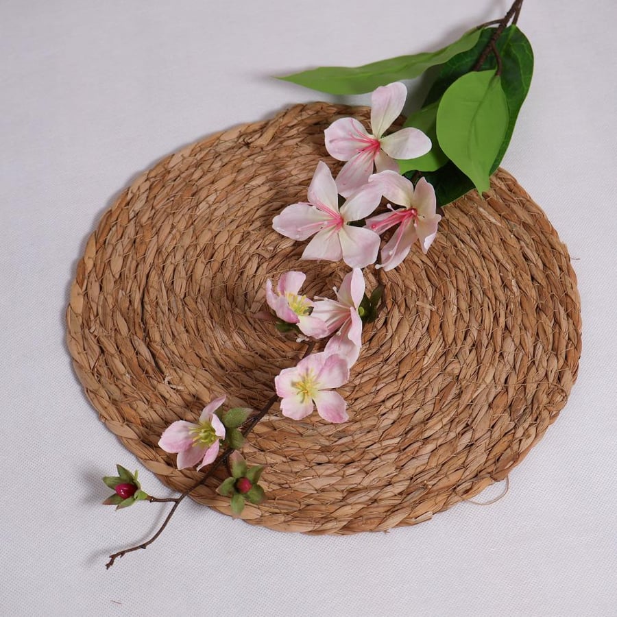 Light pink Esteromeria