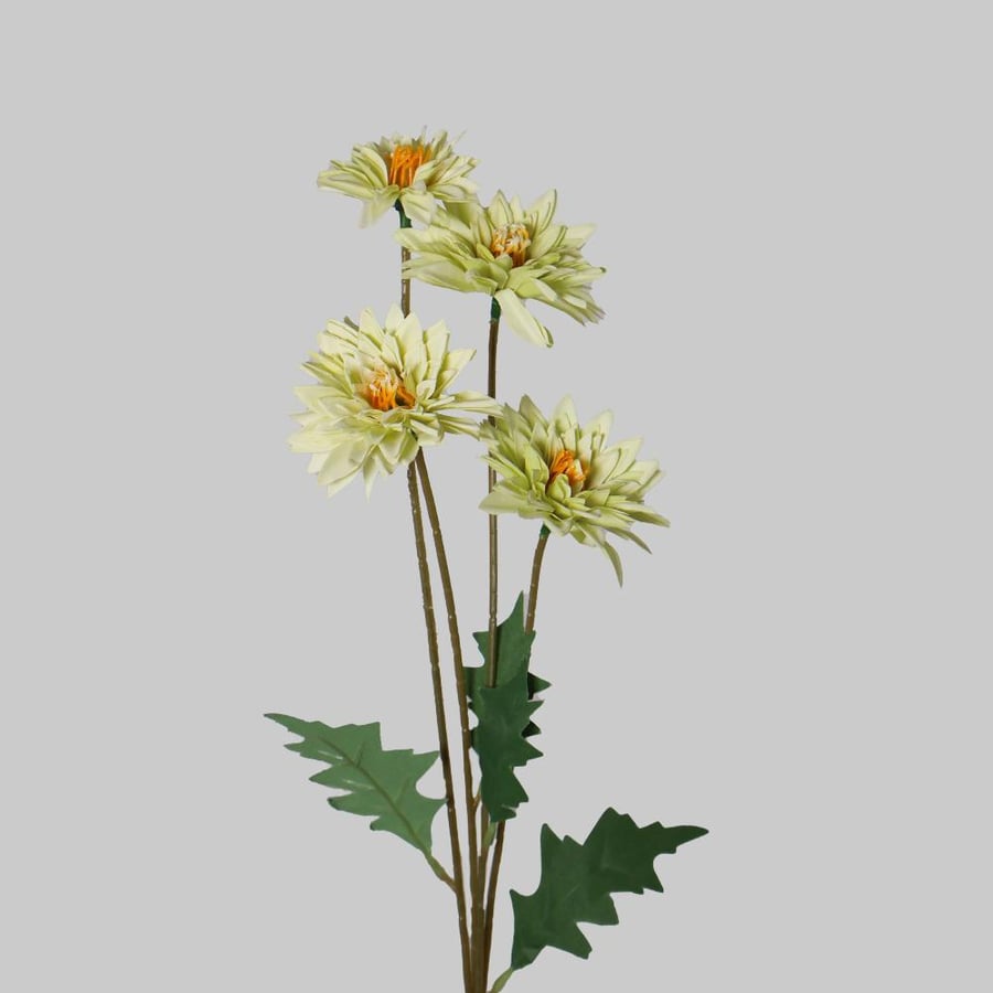 A branch of green blossom