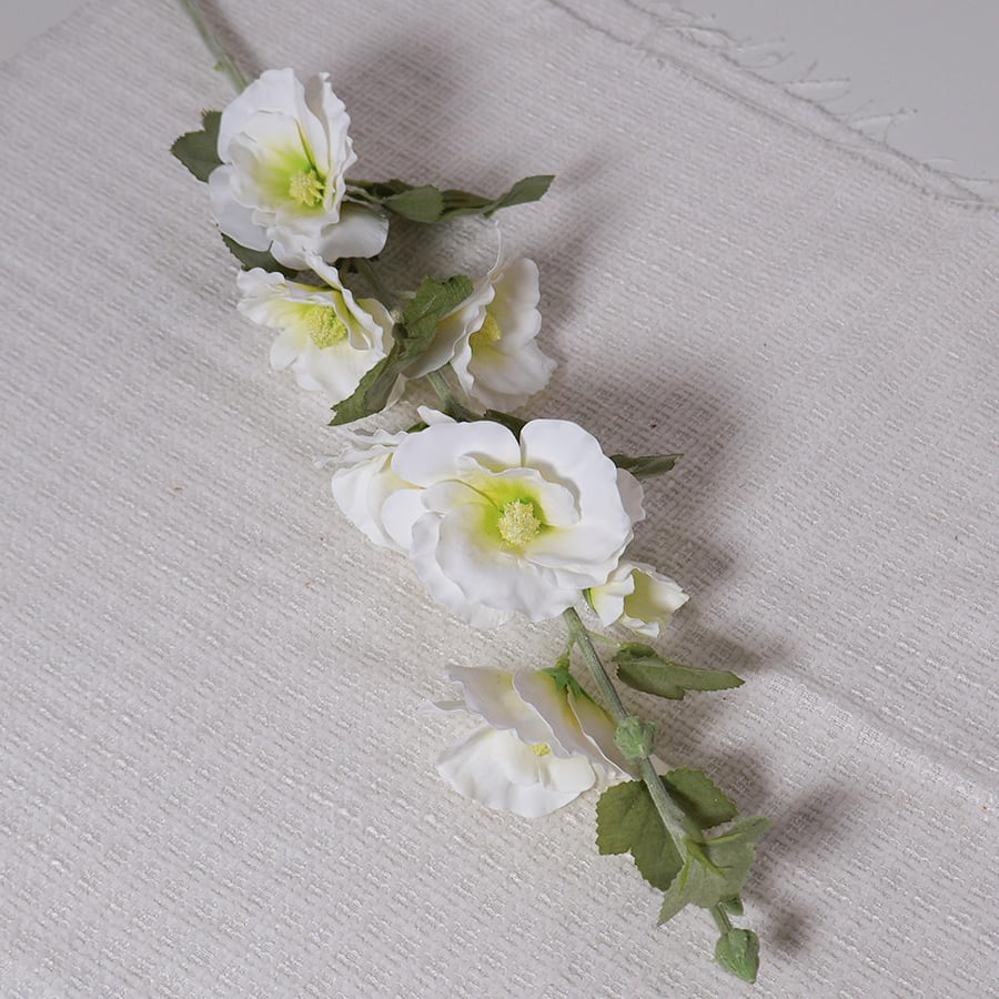 A large white rose branch