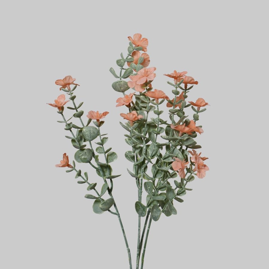 Mini orange Benishoor