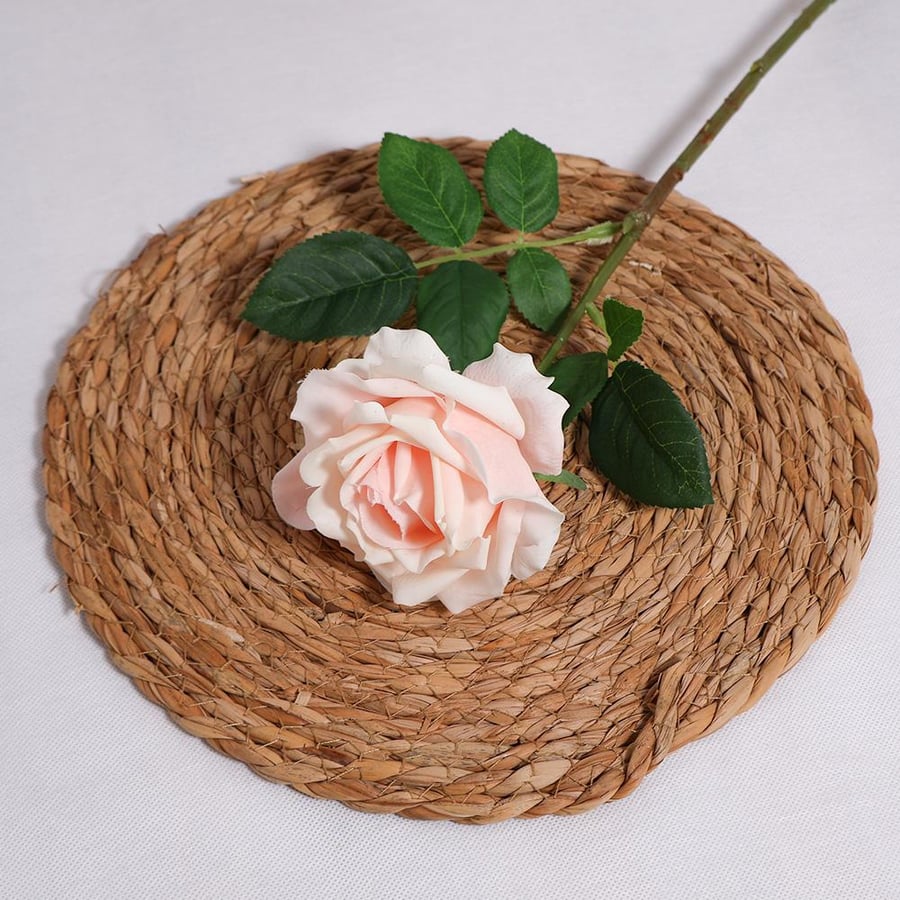Single rose with natural pink texture