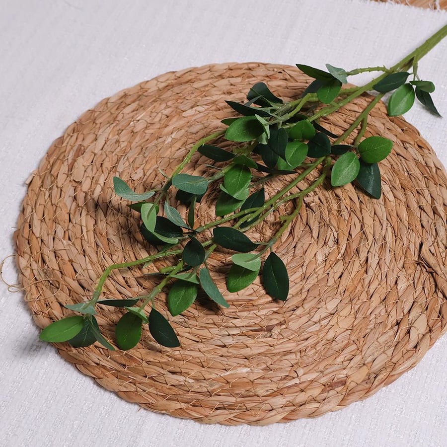 A branch with light-colored leaves
