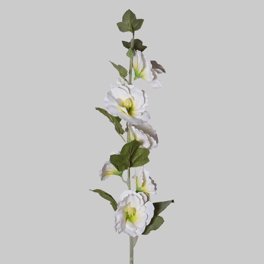 A large white rose branch