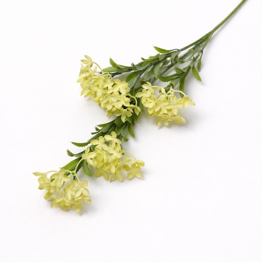 Yellow flower branch