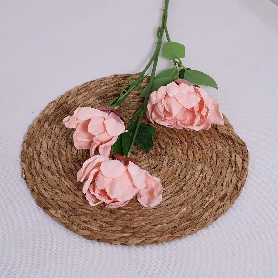 Pink peony branch