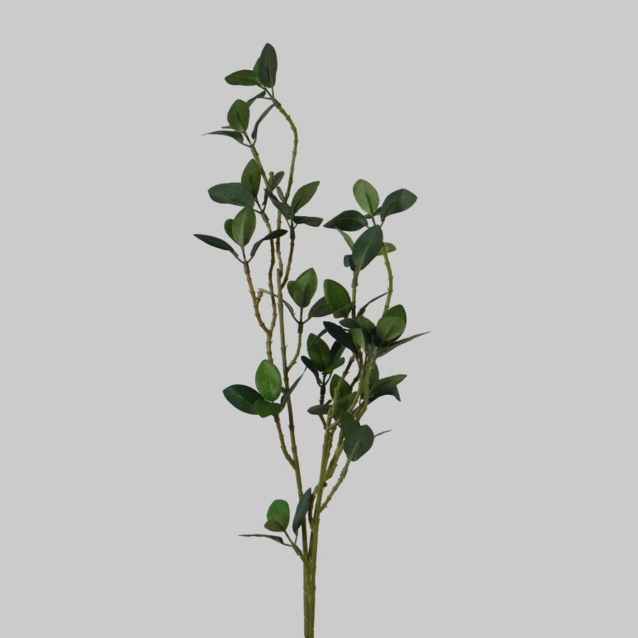 A branch with light-colored leaves