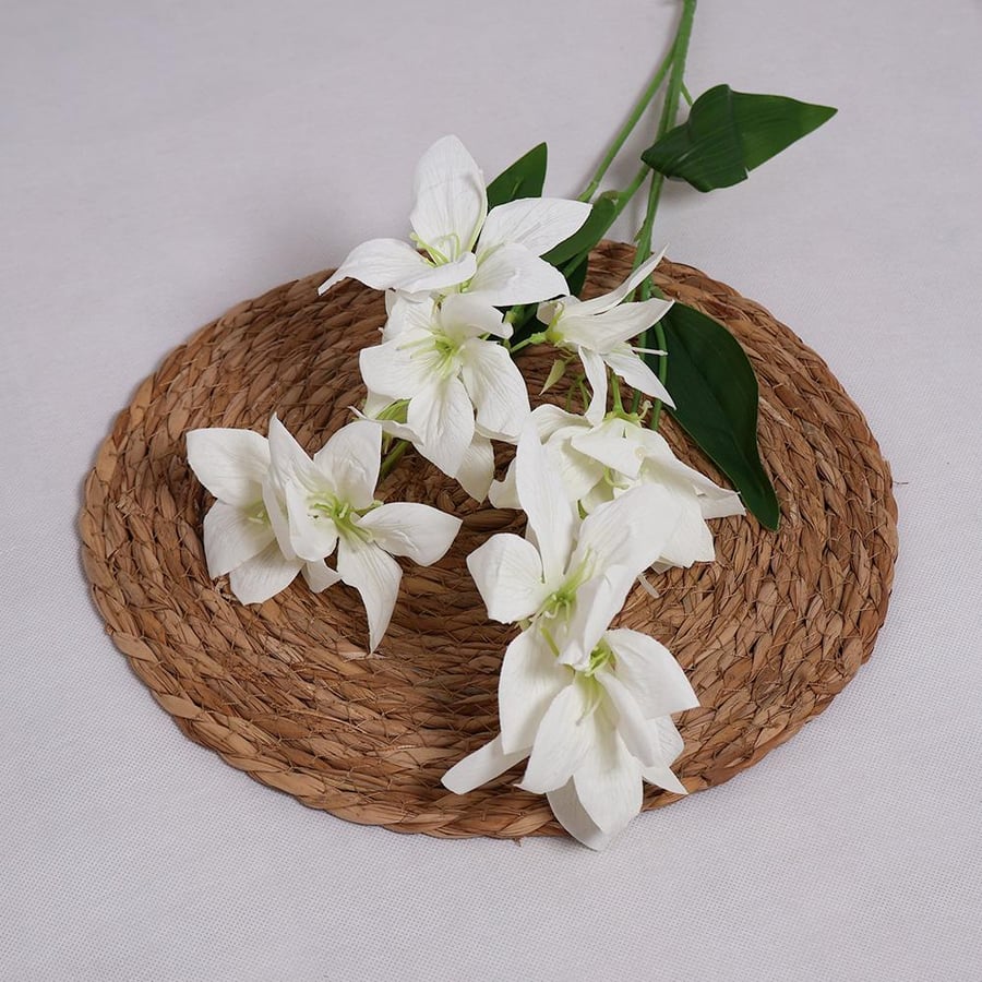 White Sterlizia branch