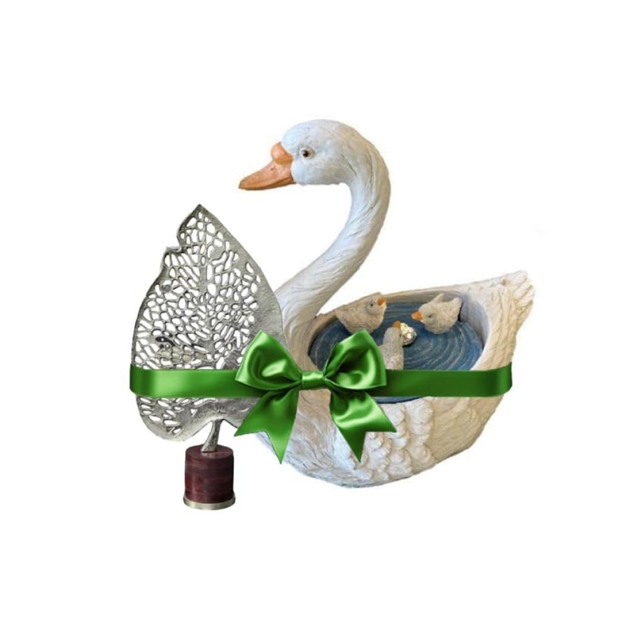 عرض الرقي