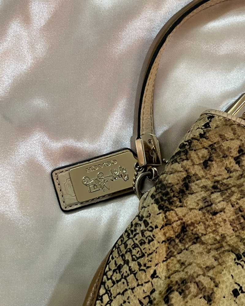 Coach Snakeskin Print Leather Tote Bag