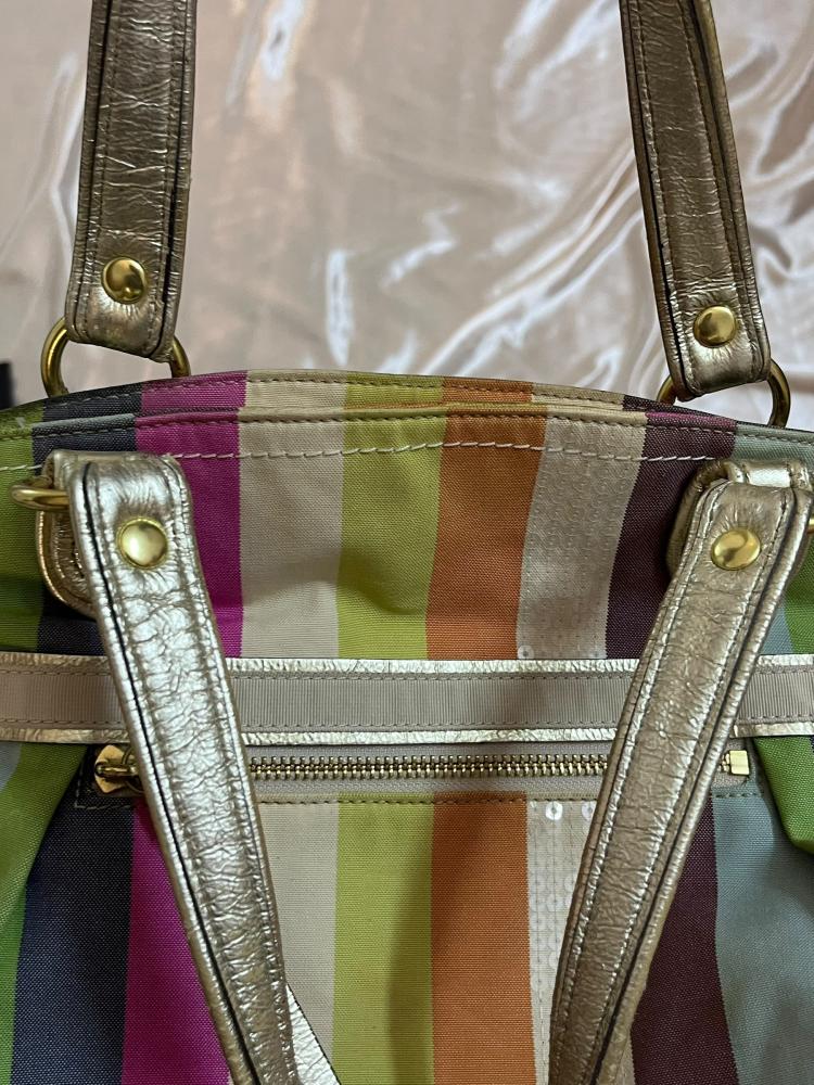 Coach Multicolor Striped Tote Bag