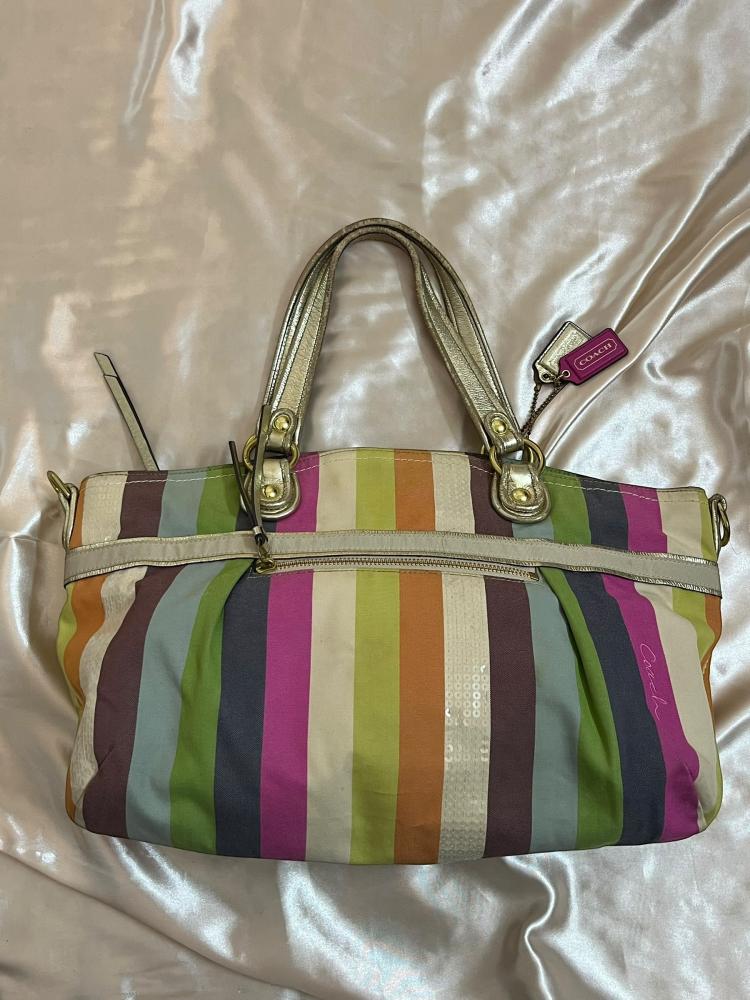 Coach Multicolor Striped Tote Bag