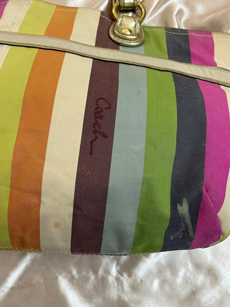 Coach Multicolor Striped Tote Bag