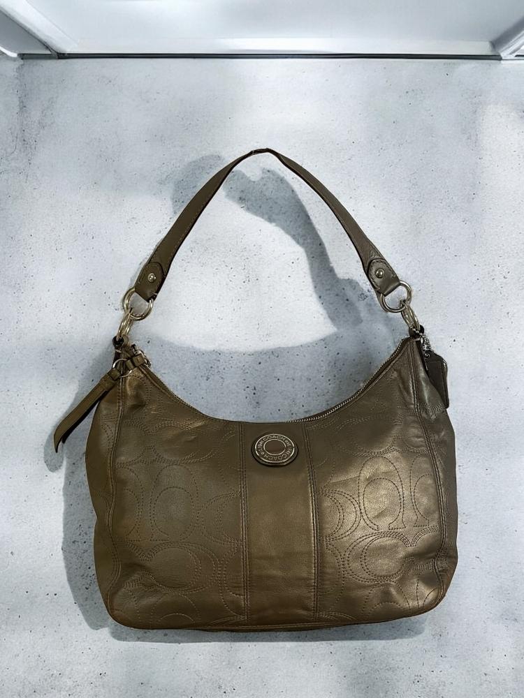 Coach Signature Hobo Leather Metallic F19415 Shoulder Bag