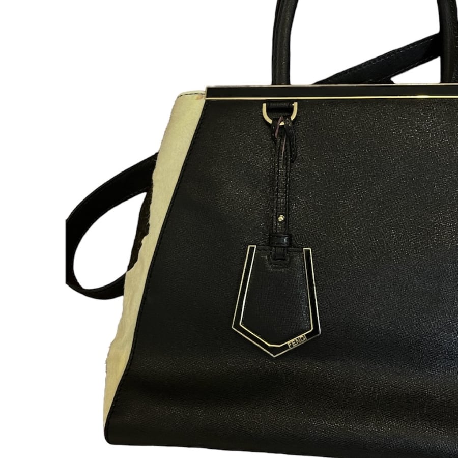 Fendi 2Jours Handbag Pony Hair and Leather
