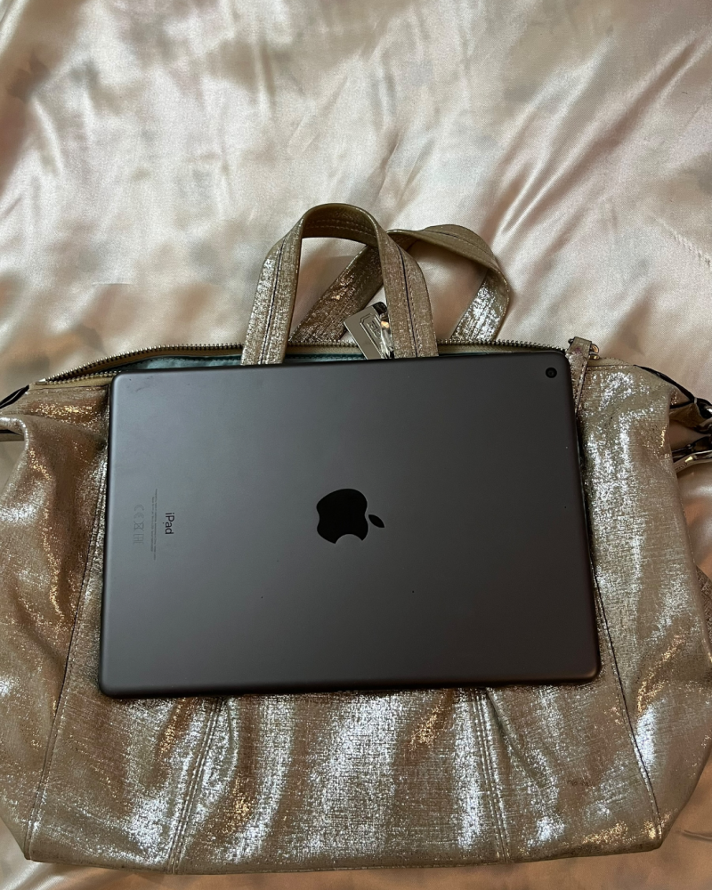 Coach Metallic Gold Shoulder Bag with Chain and Leather Strap