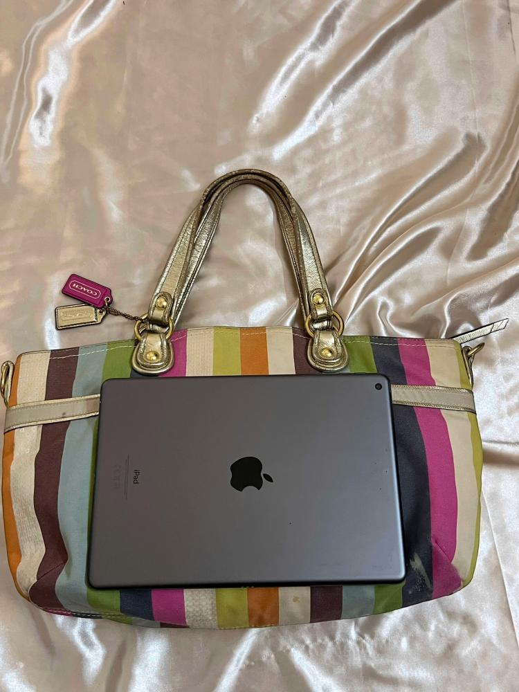Coach Multicolor Striped Tote Bag