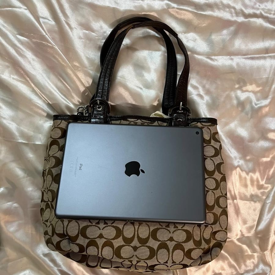 Coach Signature Canvas Shoulder Bag (Brown & Black)