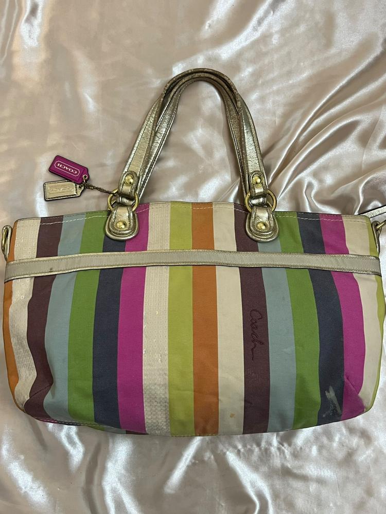 Coach Multicolor Striped Tote Bag
