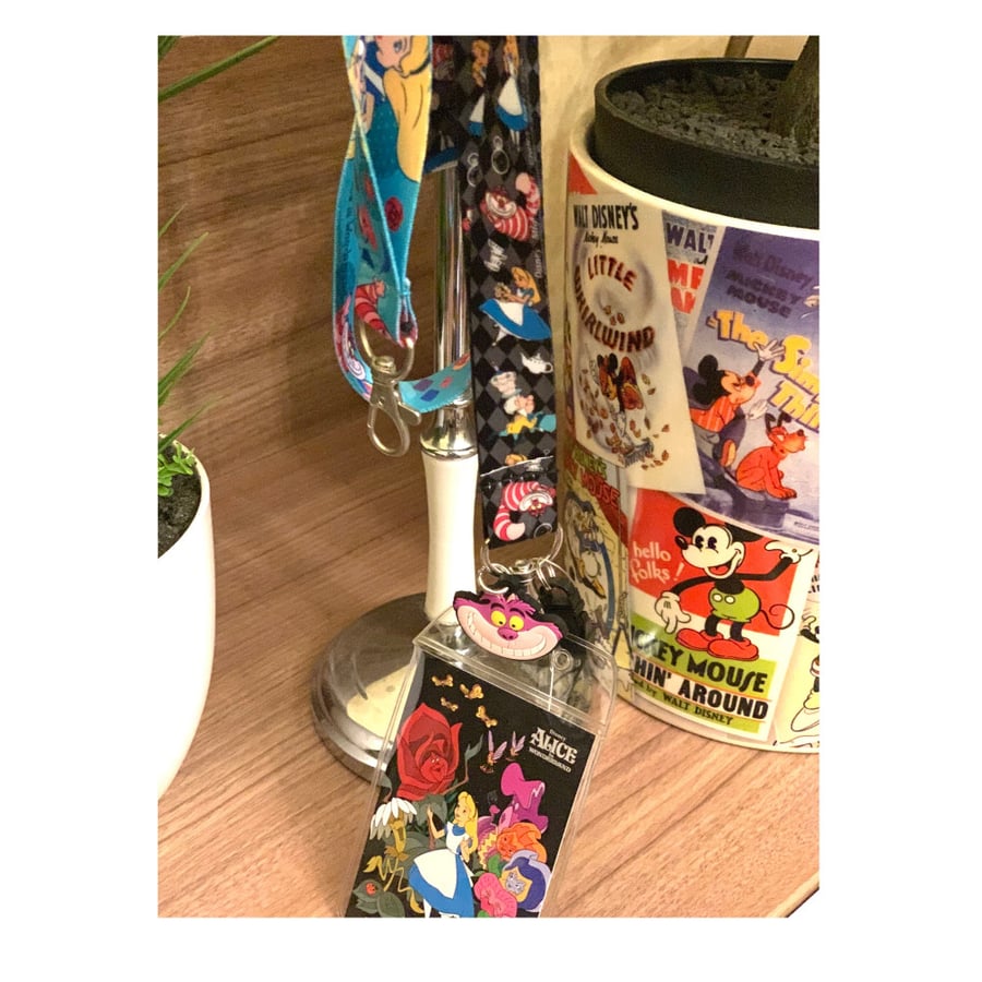 حامل بطاقة اليس