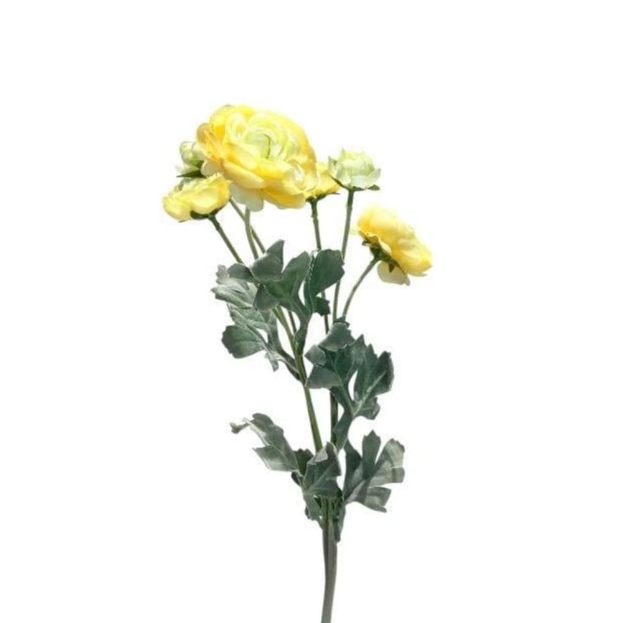 RA25-25-4