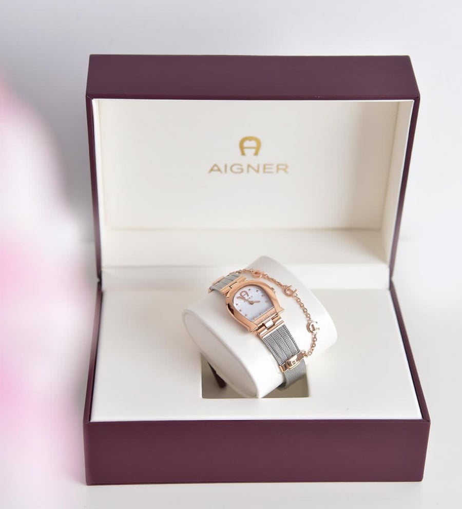 Aigner فضي