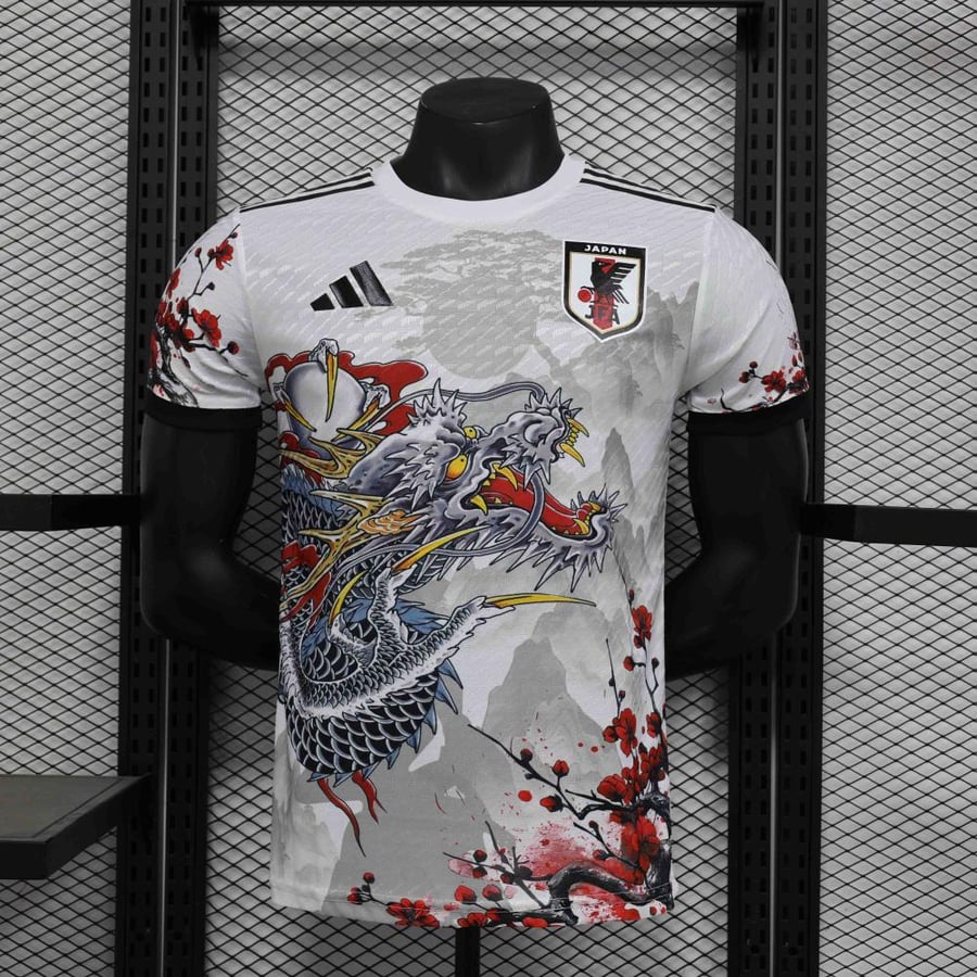 Japan national team anime 21