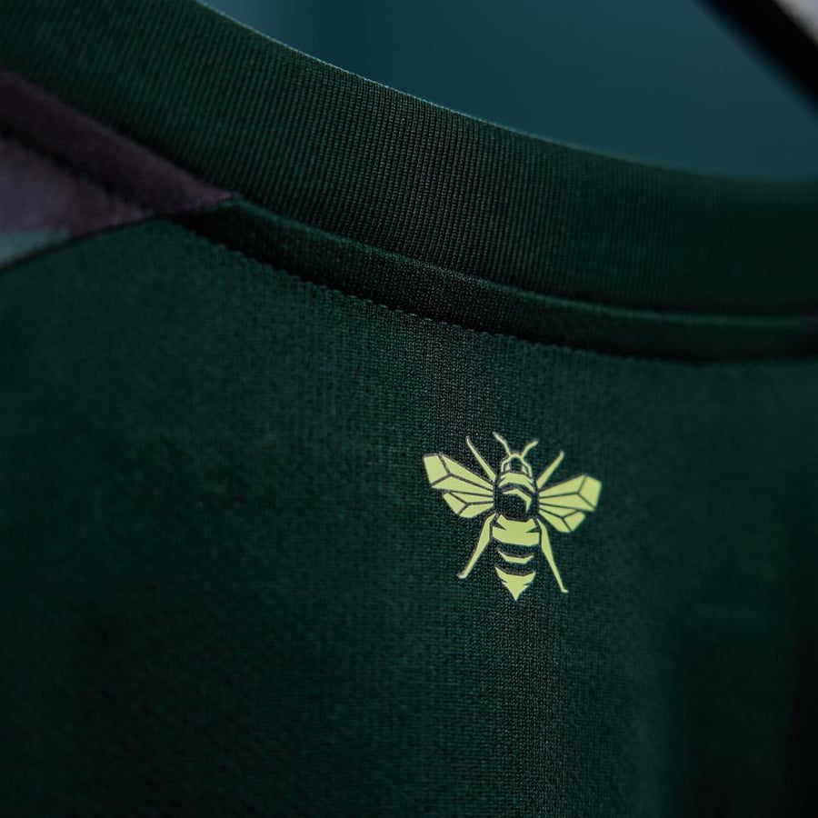 Brentford third kit 2024-2025