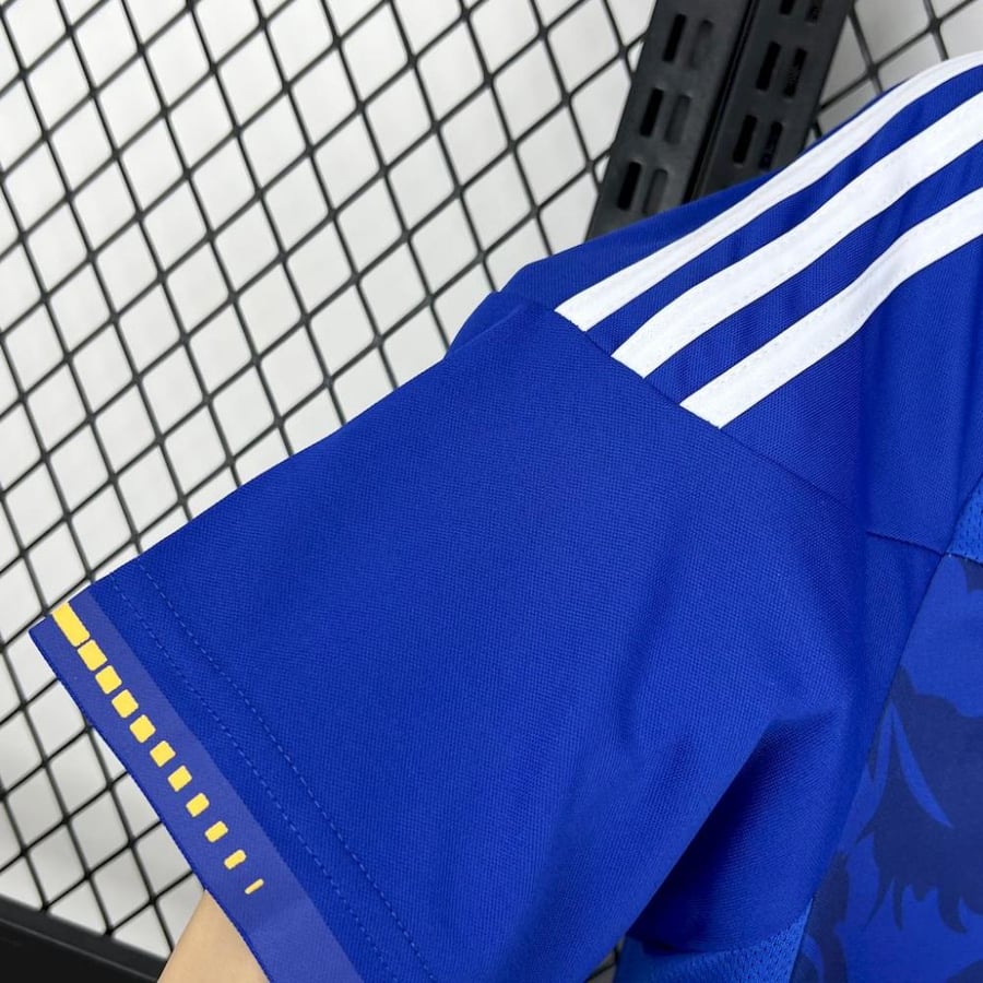 Japan national team set 2010 season blue