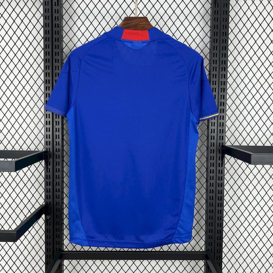 Japan national team set 2010 season blue