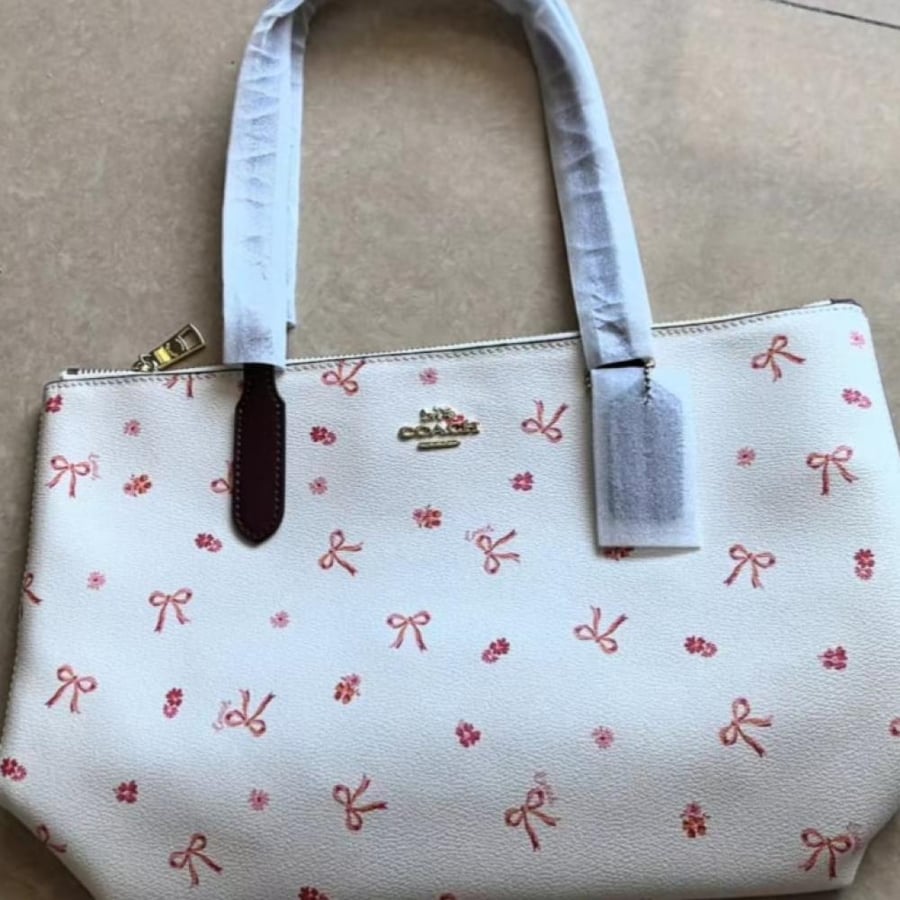 coach (Fionke City Mini)