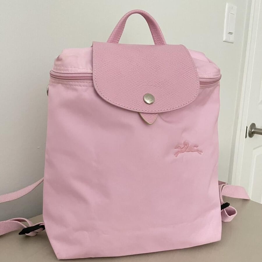 Longchamp bag (Pink)