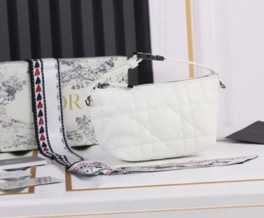 Dior bag