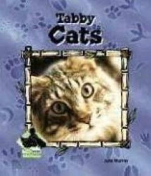 TABBY CATS