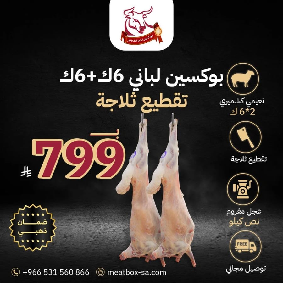 بوكسين كشميري لباني مع نصف كيلو لحم عجل مفروم