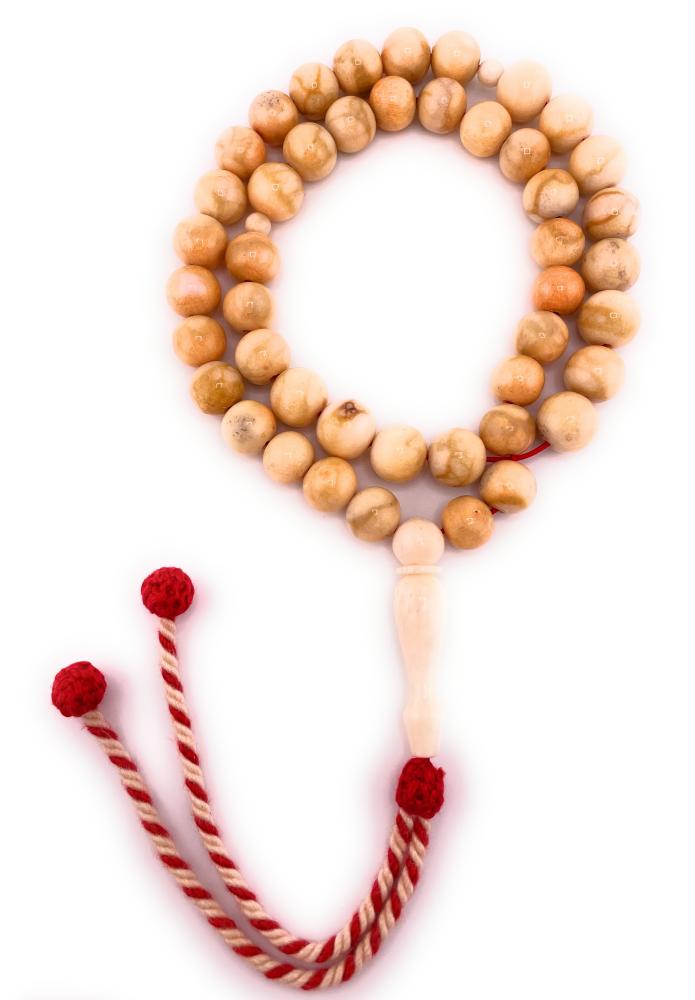 سبحة المرجان الأبيض أو (اليسر) ‏White Coral