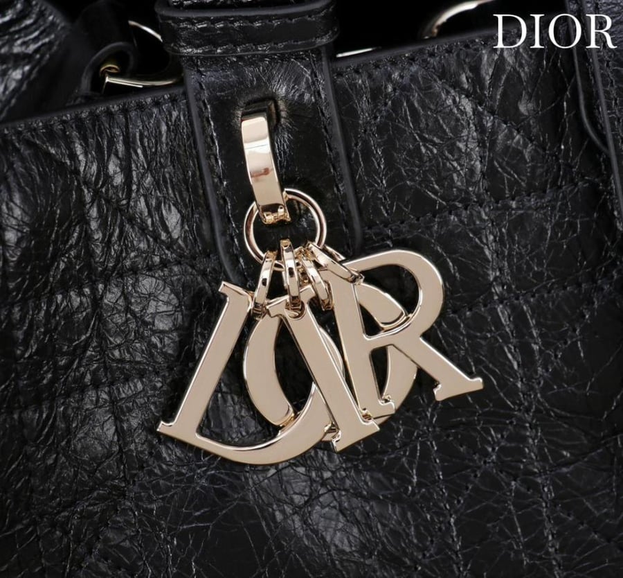 Large Dior Toujours bag