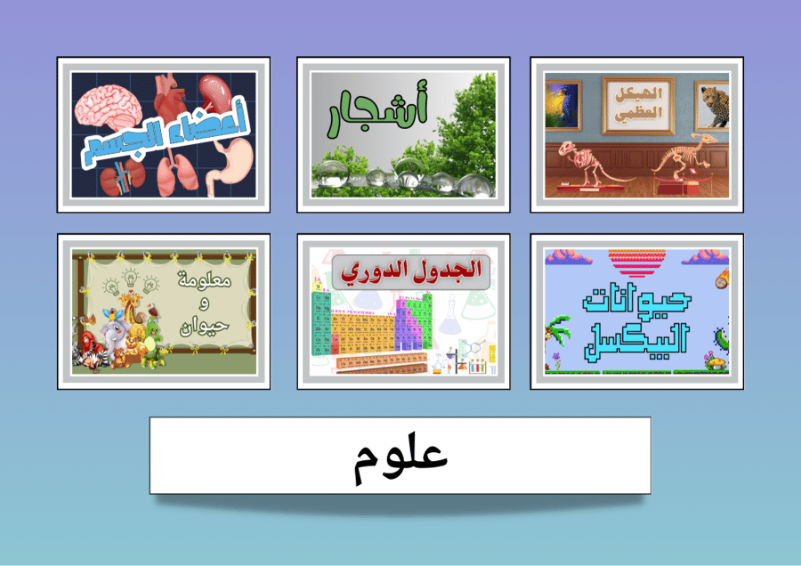 أعضاء الجسم