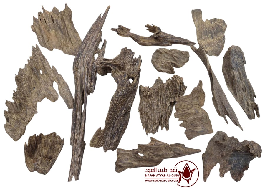 عود طبيعي مالينو [2410/2]