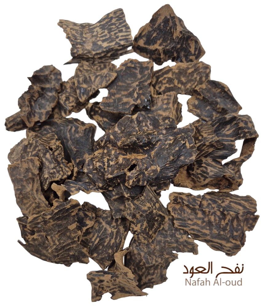 عود فتنامي محسن دبل سوبر جار [198]