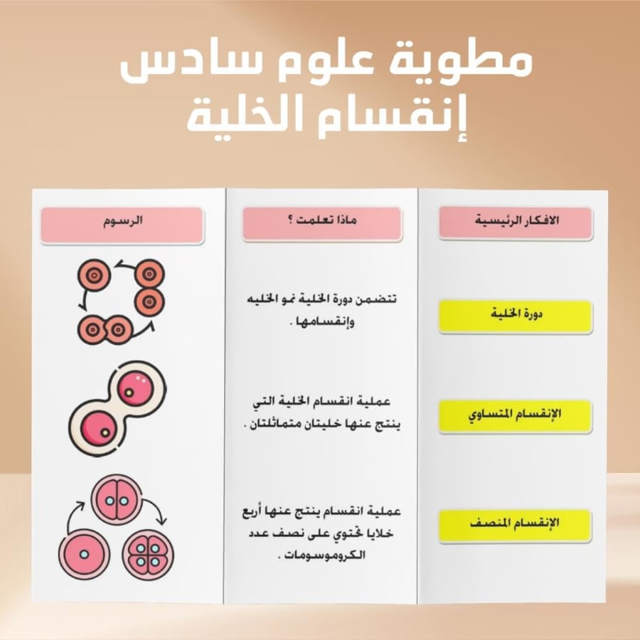 مطوية علوم سادس الفصل الدراسي الاول إنقسام الخلية