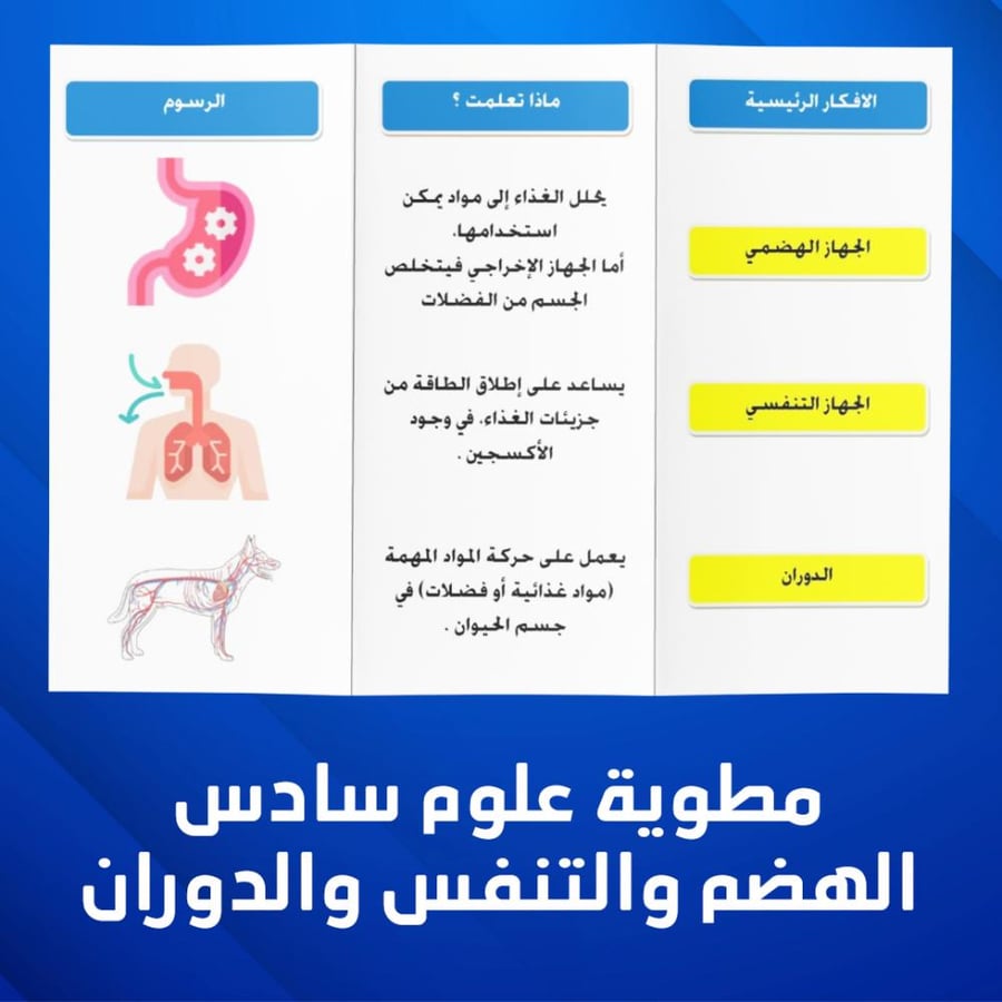 مطوية علوم سادس الفصل الدراسي الاول الهضم والتنفس والدوران