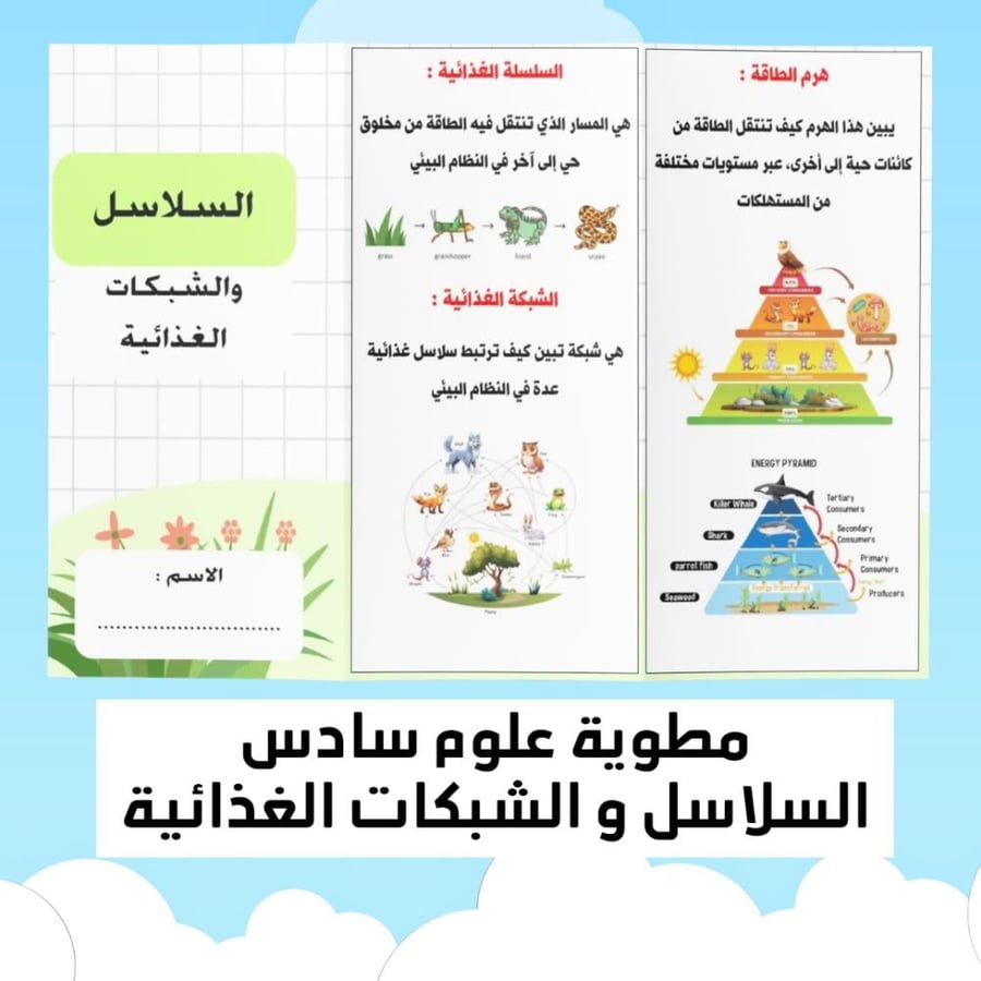 مطوية علوم سادس الفصل الدراسي الاول السلاسل و الشبكات الغذائية