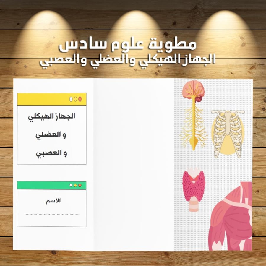 مطوية علوم سادس الفصل الدراسي الاول الجهاز الهيكلي والعضلي والجهاز العصبي