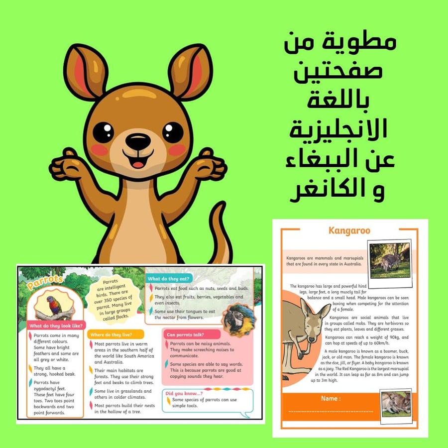 مطوية صفحتين عن الكانغر و الببغاء باللغة الانجليزية صف رابع