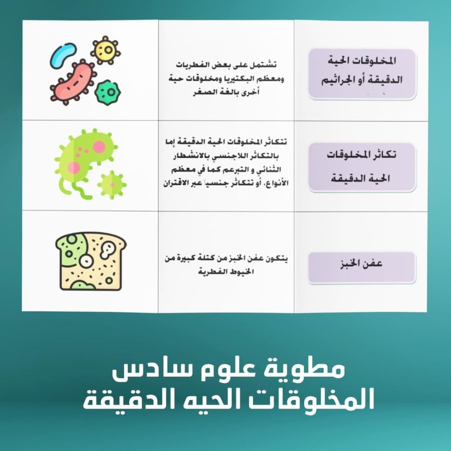 مطوية علوم سادس الفصل الدراسي الاول المخلوقات الحيه الدقيقة