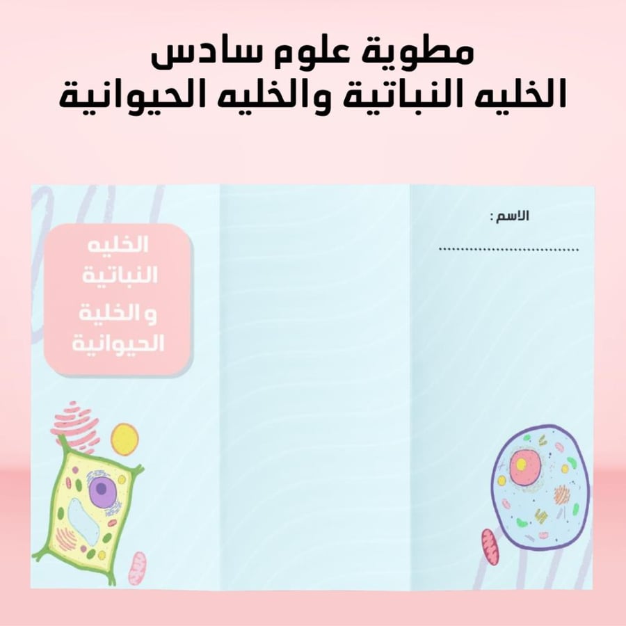 مطوية علوم سادس الفصل الدراسي الاول الخليه النباتيه والخليه الحيوانيه