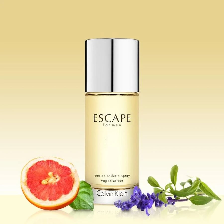 كالفن كلاين عطر اسكيب للرجال - 100مل - او دو تواليت