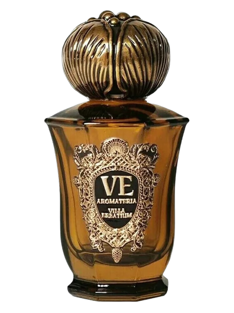 ITALY GUY 100ML