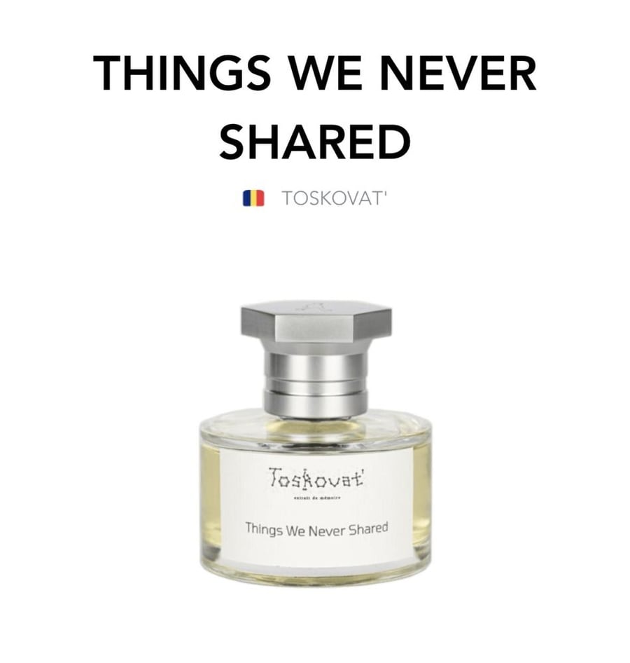 Things We Never Shared - Toskovat
